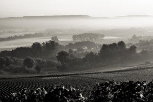 VENDANGES 2017-2